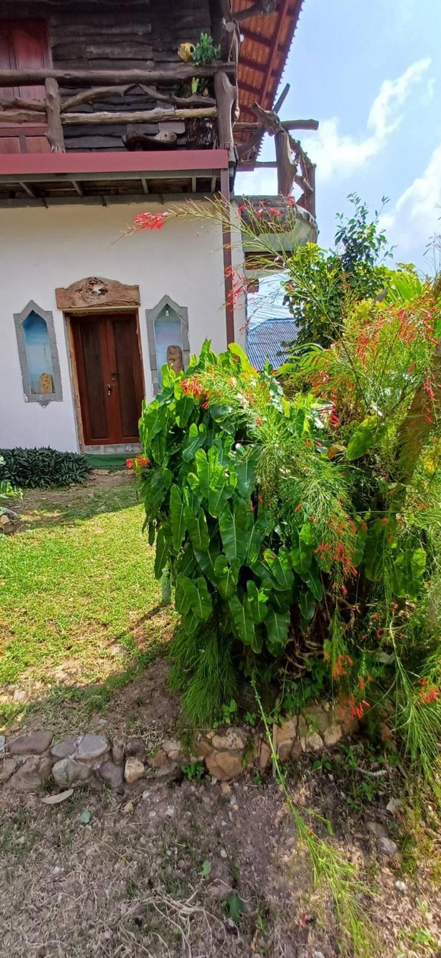 Orchid Home كو تاو المظهر الخارجي الصورة